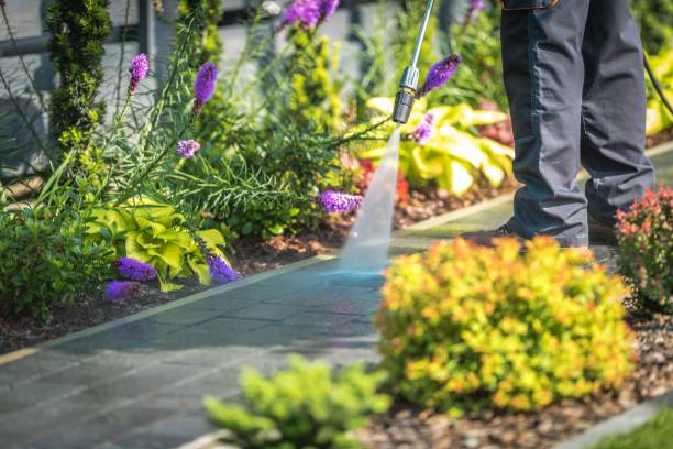 Best Dumpster Area Cleaning  in Spry, PA